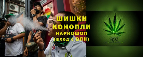 mix Богородицк