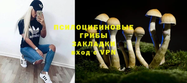 мдма Богданович