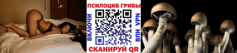 дарнет шоп  hydra как зайти  Галлюциногенные грибы Cubensis  Кимовск 